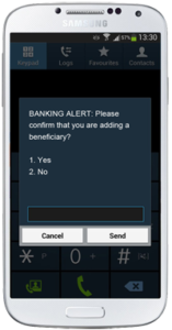 ussd-push-screenshot1